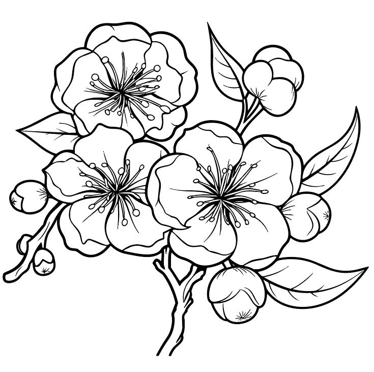 Disegno ricamo Sakura Flowers